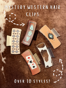 Mystery Hair Clip!