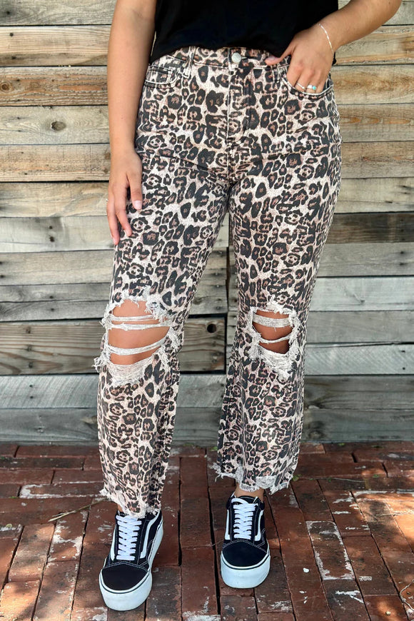 Cheet-alicious - Cheetah Print Distressed Straight Leg Jean - Size 1 -20
